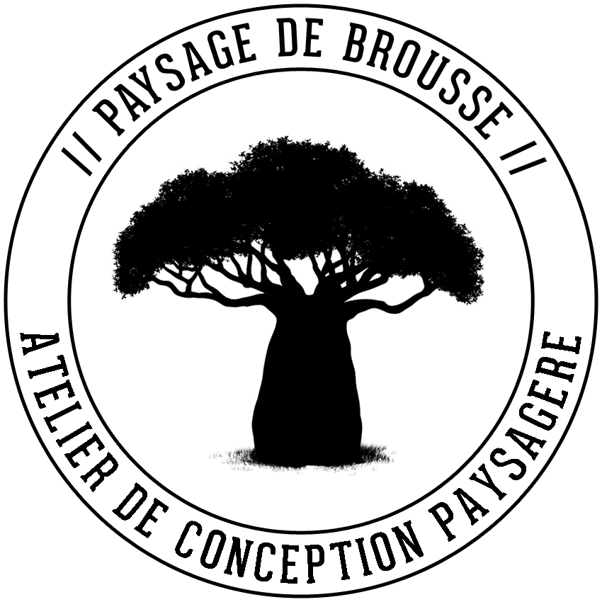 PAYSAGE DE BROUSSE
