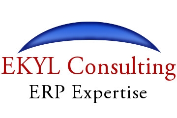 EKYL Consulting