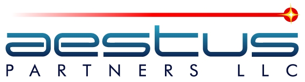 Aestus Partners LLC
